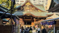 10873779 71A8 4ADE BEFF 5BD453DEA043 240x135