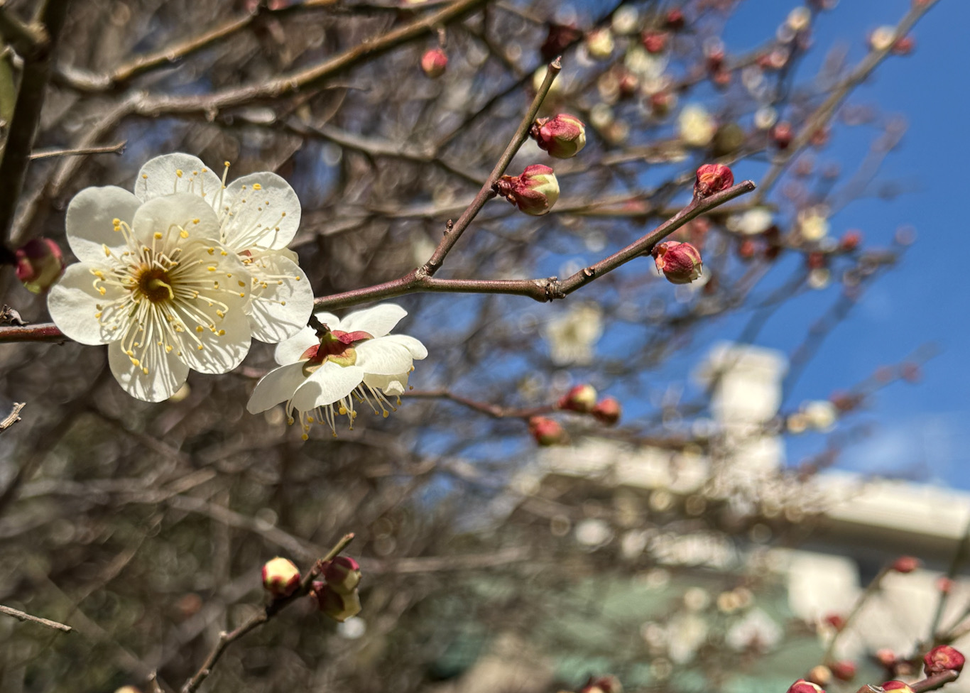 5df3a96f 78e5 4f80 a686 6b710f8c8cab