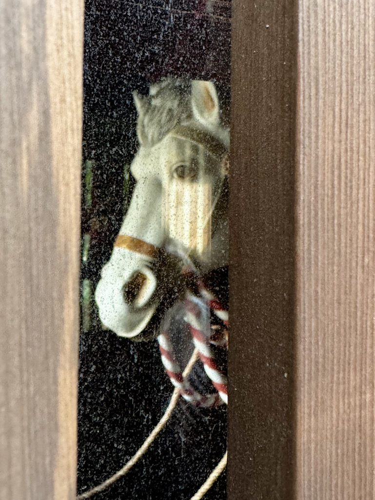 寒川神社の御神馬