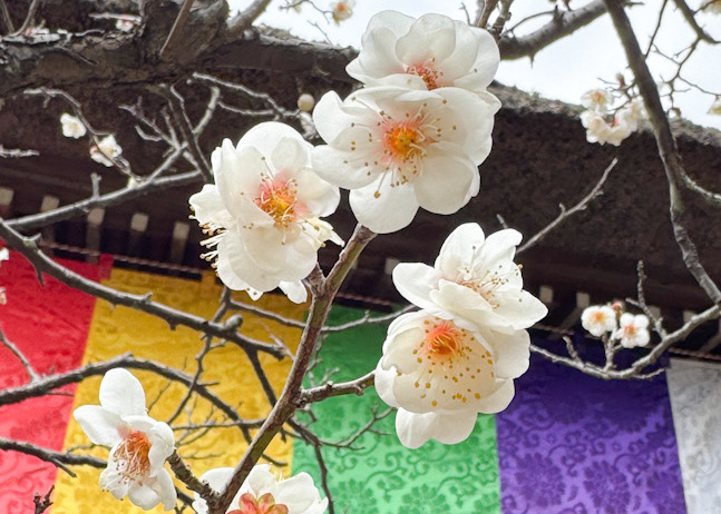 7c69289b 10f2 42f5 b416 e5d862273cf0