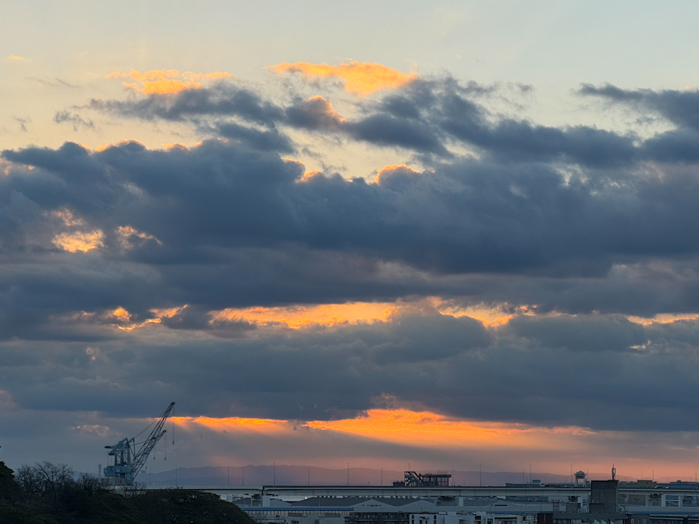 c37d29a5 c2e5 4d5f 989d f5daca50326f