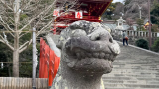 E583A07E B933 4556 A9F3 D0452B8A912B 320x180