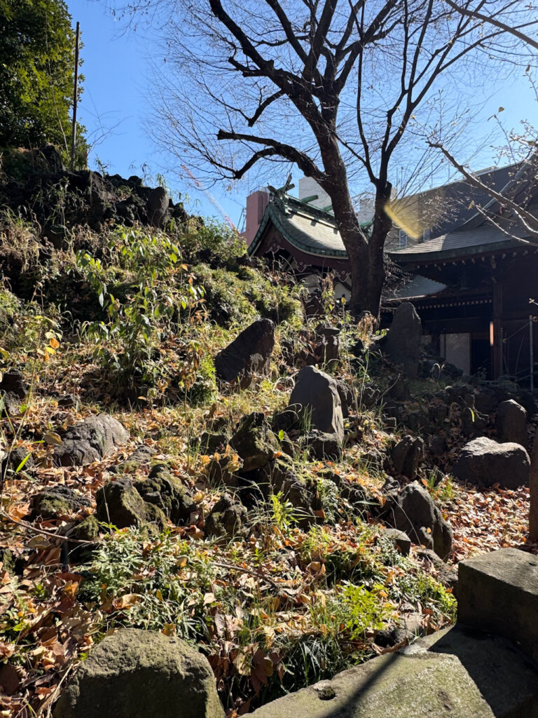 小野照崎神社　富士塚
