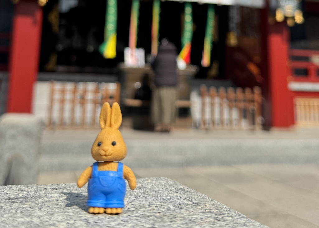 2fbe03fe ead4 47d3 8ded 9d1538a69e8e