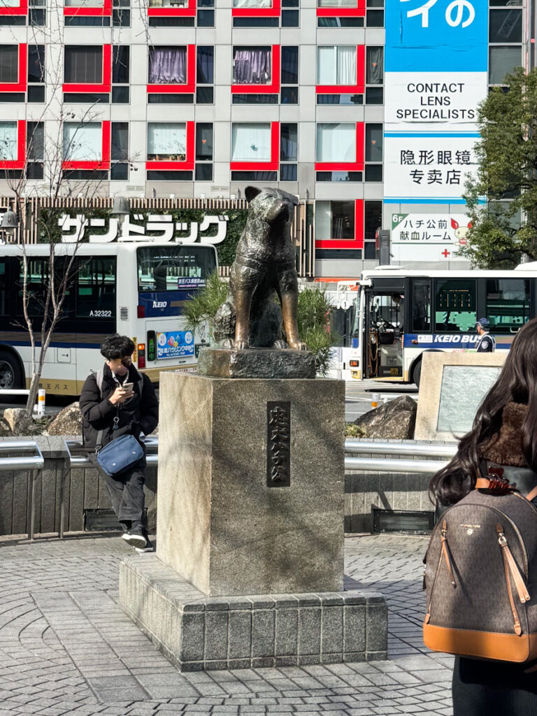 4cc3aeec abdc 42f1 8a1e 4820a30e3be0