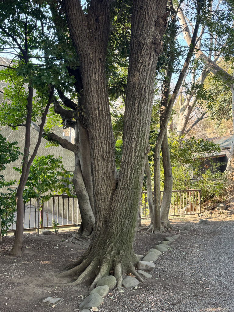 78bdbc08 b449 4816 bf26 a2ec7d10459a