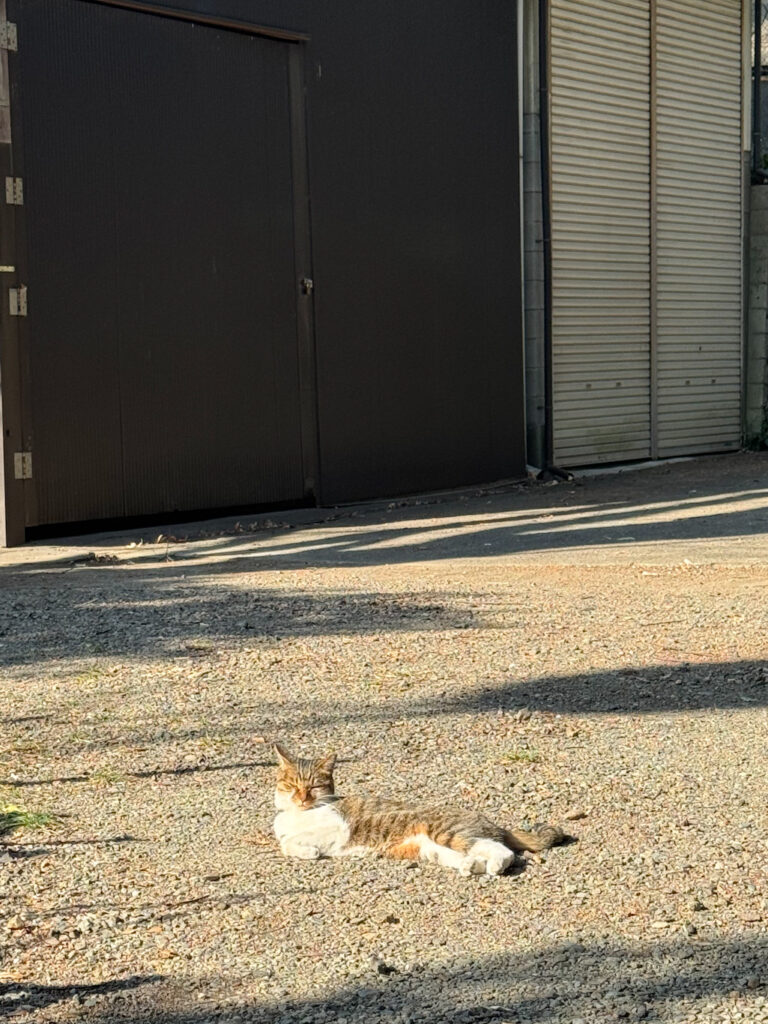 8fe6b2d4 3ebe 4219 b134 d3bd79a8b2ea