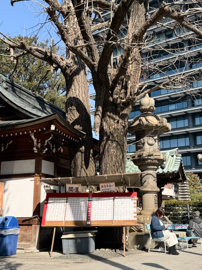 aec868e7 626f 4143 bf33 71bebcc90b90