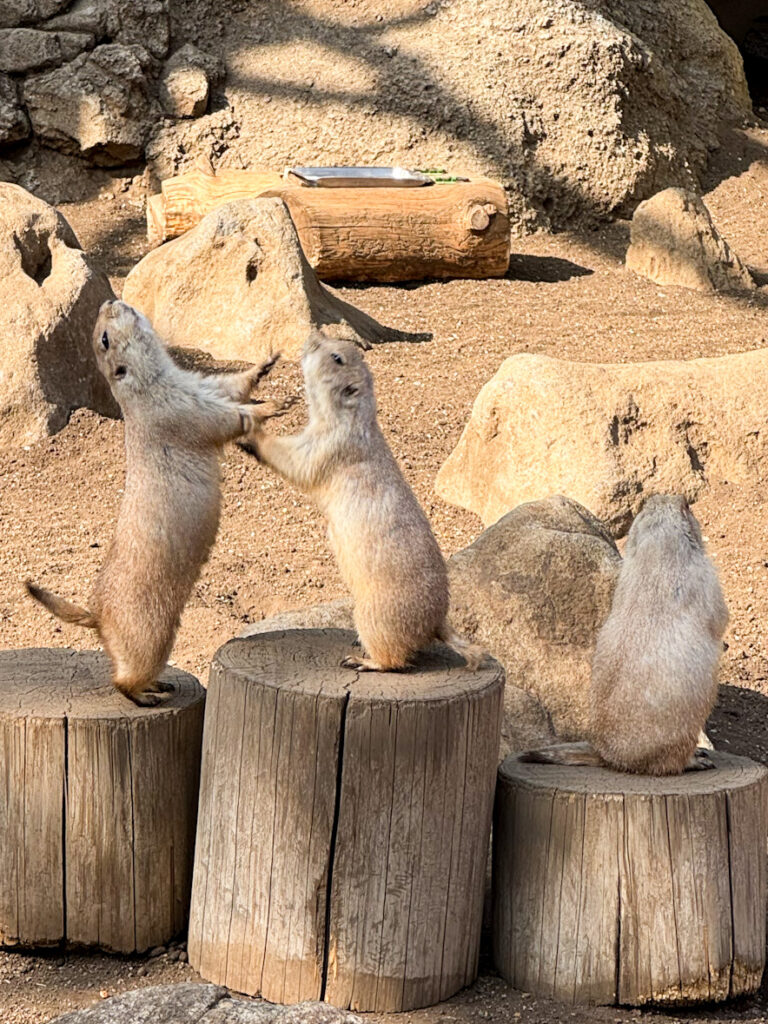 江戸川区自然動物園
