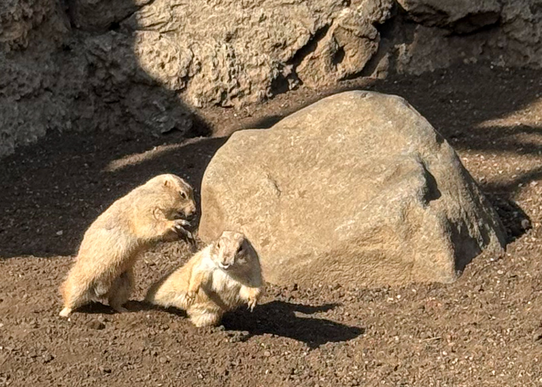 d896fa9d 9d5a 44df 98a9 511b7bccf32d