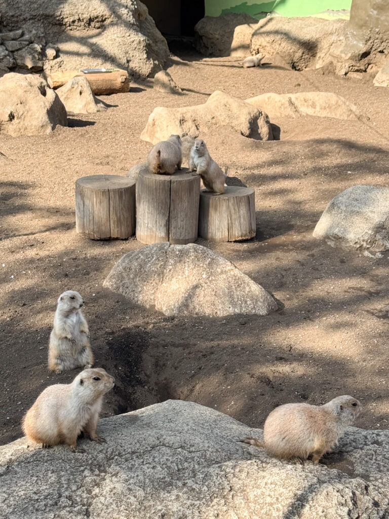 daf888c5 19c2 4c3d a104 b92d90ee489c