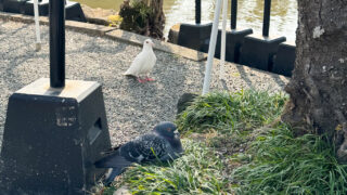 D472D6D4 7B46 4178 BDC6 02CD2535315D 320x180