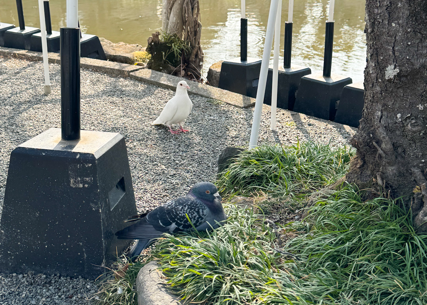 d472d6d4 7b46 4178 bdc6 02cd2535315d