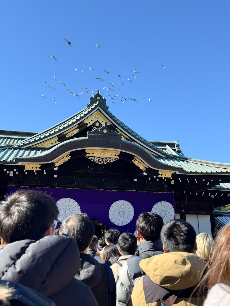 靖國神社の拝殿上空を優雅に飛ぶ鳩の群れ