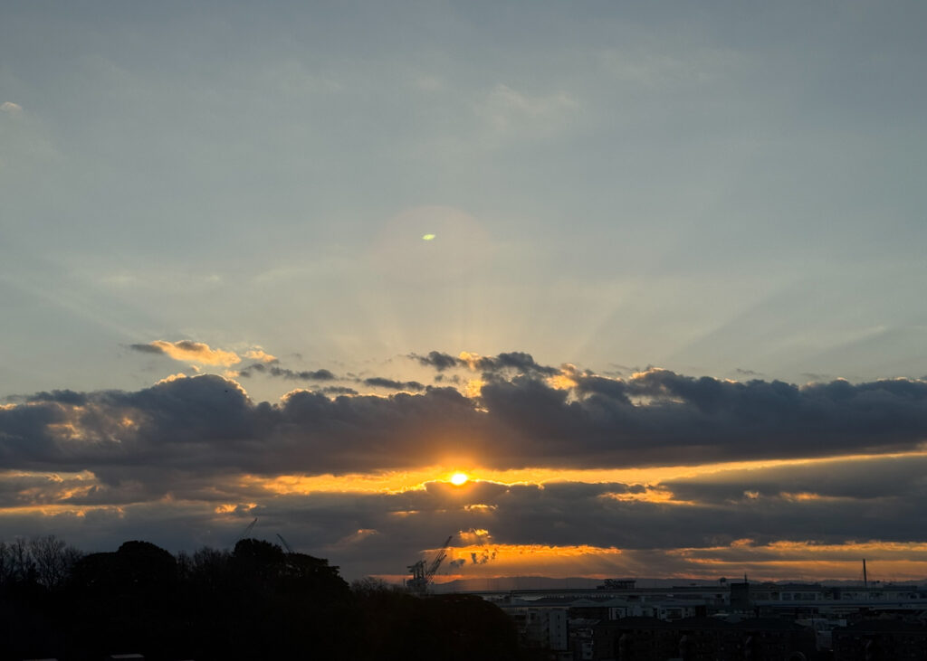 c0d1044e 7943 4629 9d31 a4df256c58c1