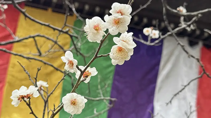 お坊さんの話