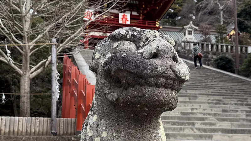 鶴岡八幡宮の狛犬