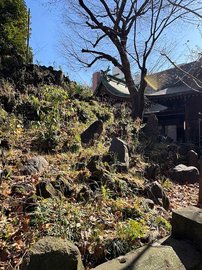 小野照崎神社の富士塚