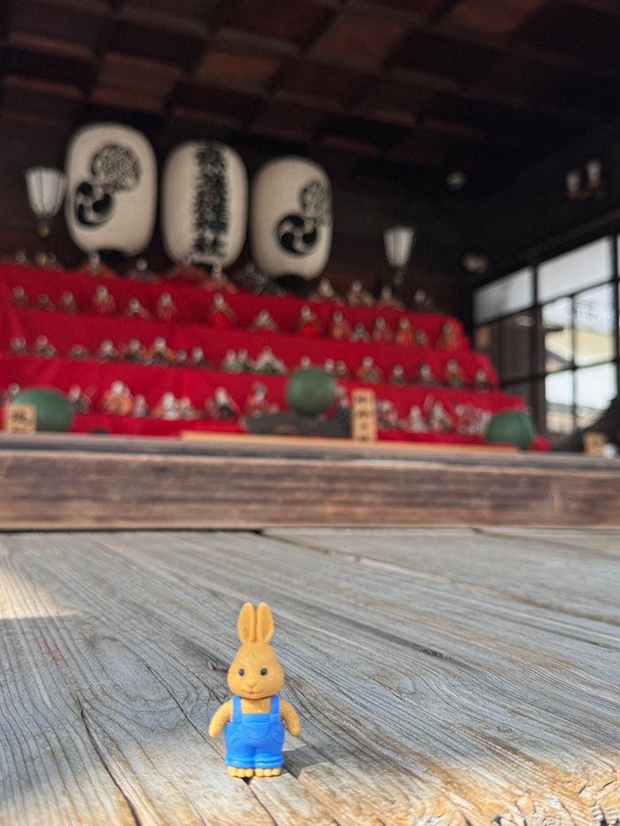 素盞雄神社のおみくじの縁起物うさぎ