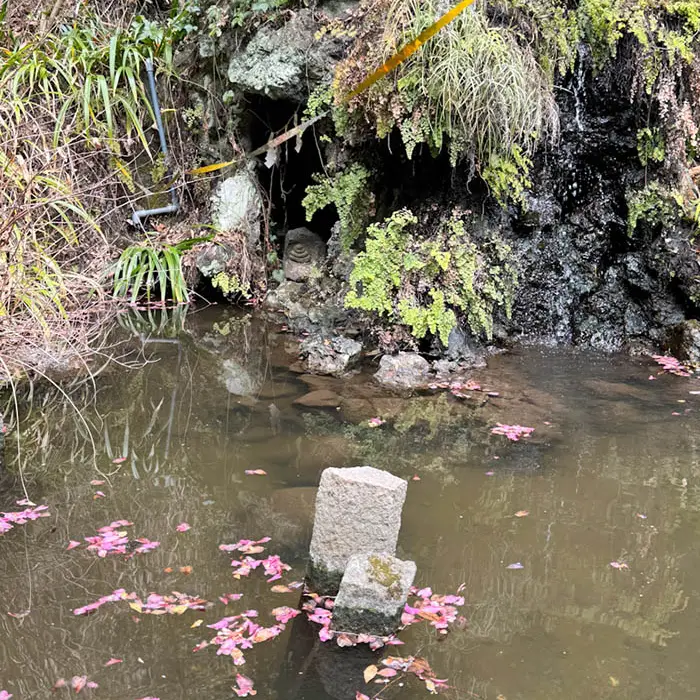 横浜、大綱金刀比羅神社の池
