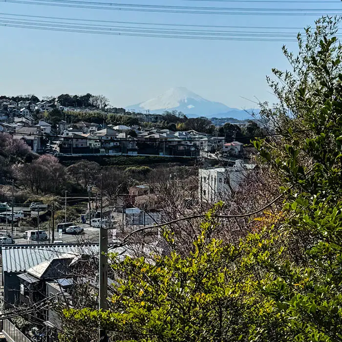 思金神社からの富士山