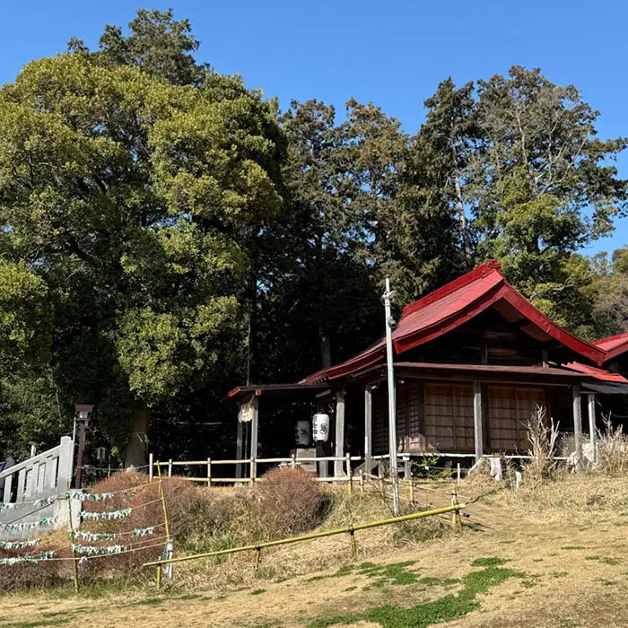 思金神社の本殿