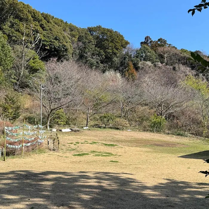 思金神社の境内の広いスペース