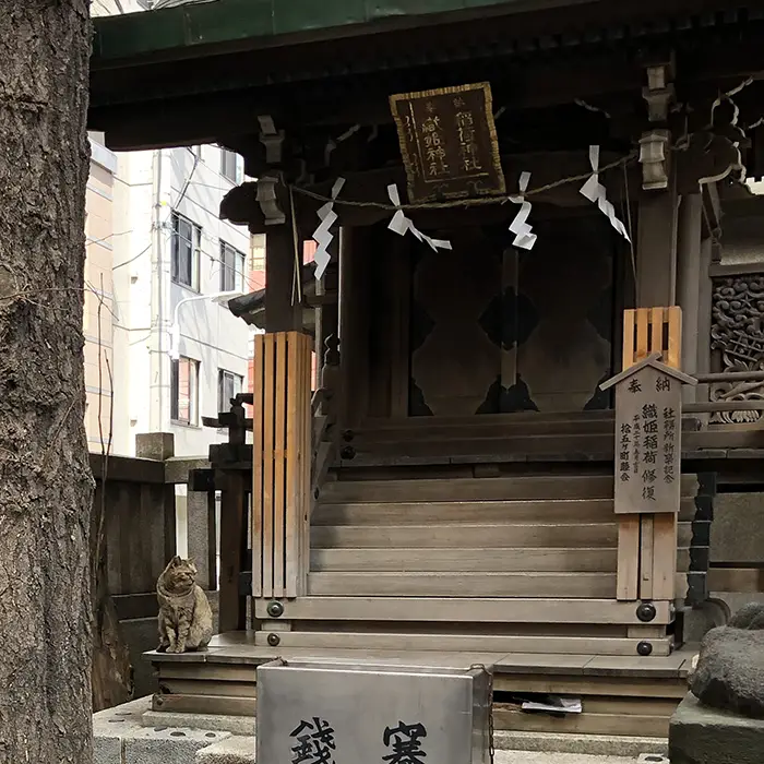 小野照崎神社の末社、織姫神社のお社にちょこんと座る猫