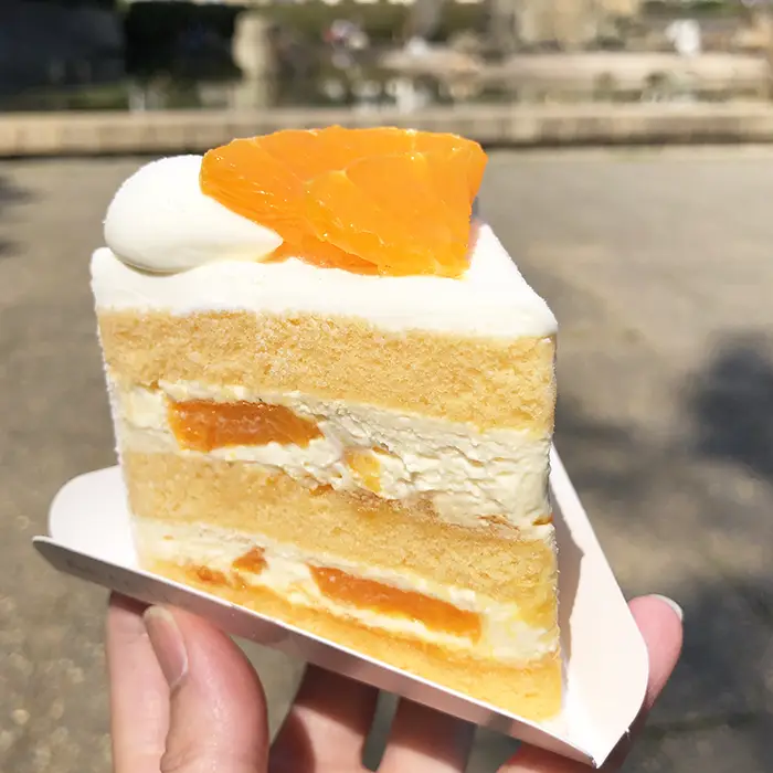 北浦和アカシエのせとかのショートケーキ