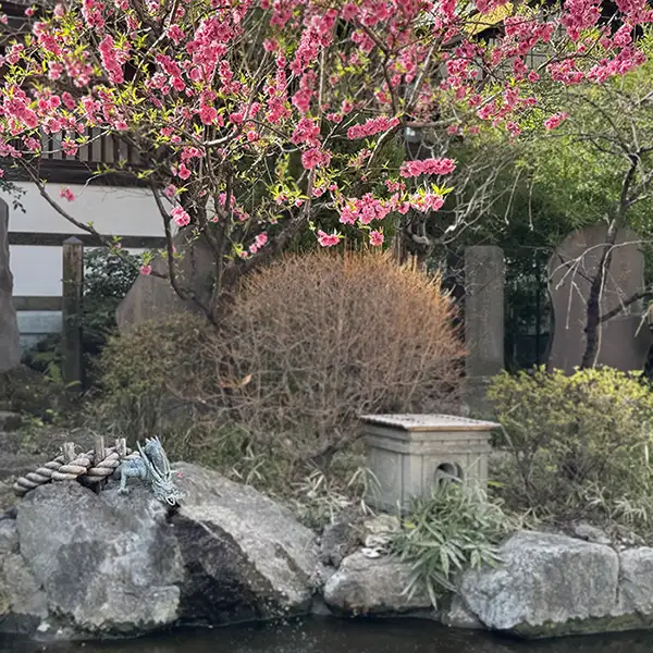 奥の細道、矢立初めの句碑のある池と、美しく咲く桃の花