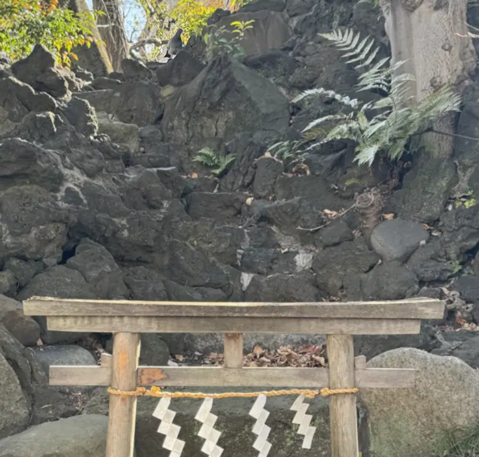 小塚富士を登山する鳩