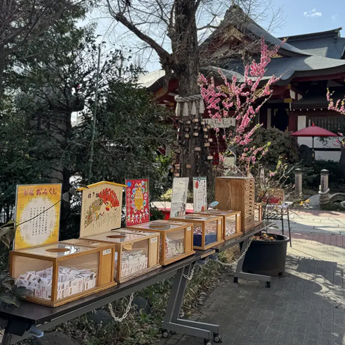 素盞雄神社の境内のおみくじ