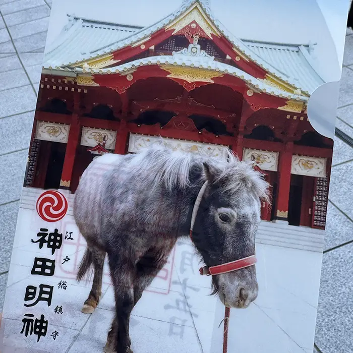 神田明神の御朱印といただいたクリアファイル